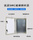 Skrzynka rozdzielcza obudowy z włókna szklanego SMC z podwójnymi zamkami Standard CE