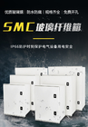 Skrzynka rozdzielcza obudowy z włókna szklanego SMC z podwójnymi zamkami Standard CE