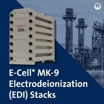 Veolia MK-9 Stos EDI 35 GPM Ultrapure Woda dla Solar PV
